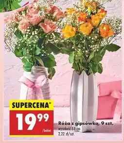 Biedronka Róża z gipsówką, 9 szt oferta