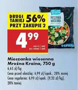 Biedronka Mieszanka wiosenna Mroźna Kraina 750 g oferta