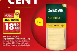 Biedronka Światowid Gouda oferta