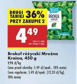 Biedronka Brokuł różyczki Mroźna Kraina, 450 g oferta