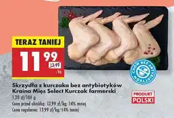 Biedronka Skrzydła z kurczaka bez antybiotyków Kraina Mies Select Kurczak farmerski oferta