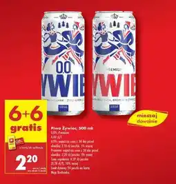 Biedronka piwo Żywiec 500 ml oferta