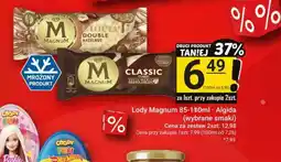 Hitpol Lody Magnum Algida oferta