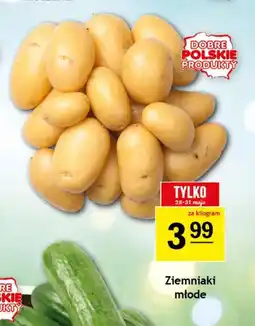 Gram Market Ziemniaki oferta