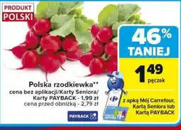 Carrefour Polska rzodkiewka oferta