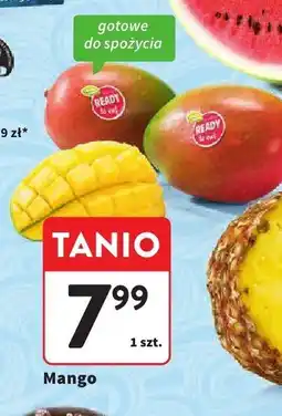 Intermarche Arbuz Intermarche oferta