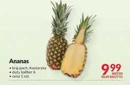 Makro Ananas Netto oferta