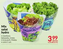 Makro Mix sałat Netto oferta