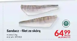 Makro Sandacz Netto oferta