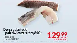 Makro Dorsz Magdalena Wolińska-Riedi oferta