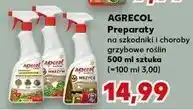 Kaufland Płyn na grzyby Agrecol oferta