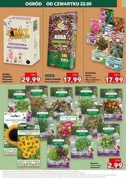 Kaufland Mieszanka balkonowa W. Legutko oferta