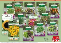 Kaufland Sałata patio W. Legutko oferta