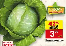 Twój Market Kapusta Kapusta młoda, 1 szt. Najlepsze Wielkopolski oferta