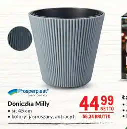 Makro Doniczka Milly oferta