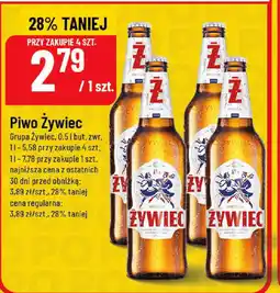 Polomarket Piwo Zywiec oferta