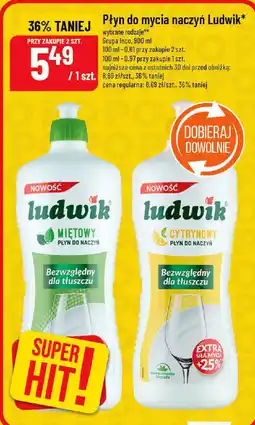 Polomarket Płyn do mycia naczyń Ludwik oferta