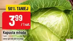 Polomarket Kapusta młoda oferta