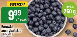 Polomarket Borówki amerykańskie oferta
