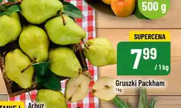 Polomarket Gruszki Packham oferta