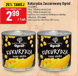 Polomarket Kukurydza Zaczarowany Ogród oferta