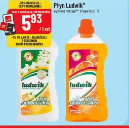 Polomarket Płyn Ludwik oferta