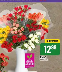 Polomarket Róże oferta