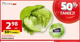 Auchan Sałata lodowa oferta