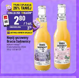 Polomarket Napój gazowany Bracia Sadownicy oferta