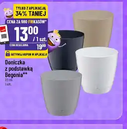 Polomarket Doniczka z podstawką Begonia oferta