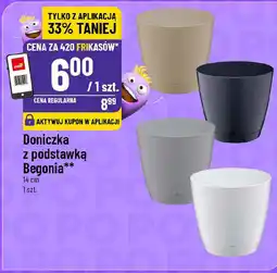 Polomarket Doniczka z podstawką Begonia oferta