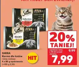 Kaufland SHEBA Karma dla kotów oferta