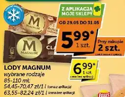 Euro Sklep Lody Magnum wybrane rodzaje oferta