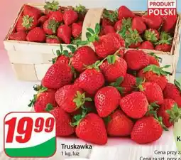Dino Truskawka oferta