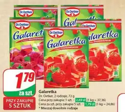 Dino Galaretka oferta