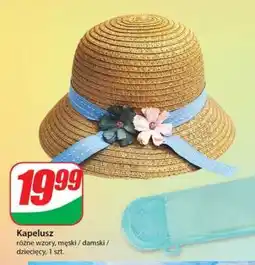 Dino Kapelusz oferta