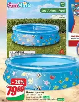 Dino Basen rozporowy oferta