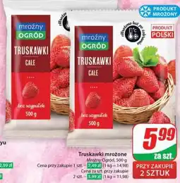 Dino Truskawki mrożone oferta
