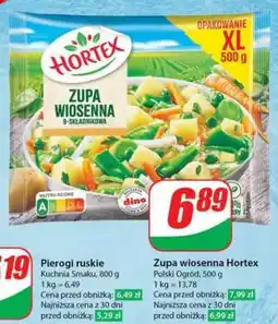 Dino Zupa wiosenna Hortex oferta