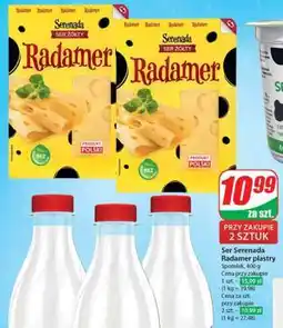 Dino Serenada Radamer plastry oferta