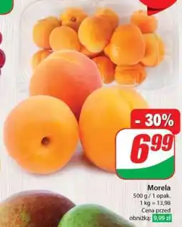 Dino Morela oferta
