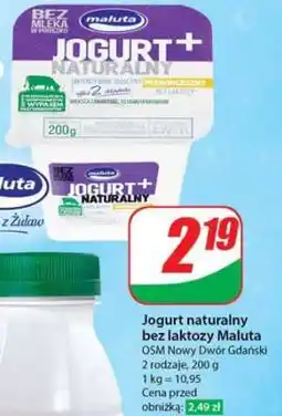 Dino Jogurt naturalny bez laktozy Maluta oferta