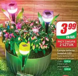 Dino Lampa solarna kwiatek LED oferta