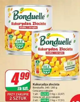 Dino Kukurydza złocista oferta