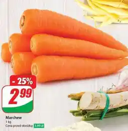 Dino Marchew oferta