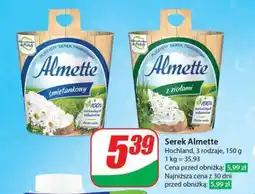 Dino Serek Almette oferta