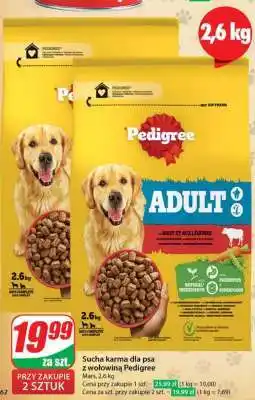 Dino Sucha karma dla psa z wołowiną Pedigree oferta