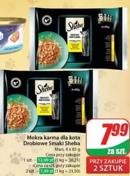 Dino Mokra karma dla kota drobiowe smaki Sheba oferta