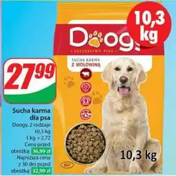 Dino Sucha karma dla psa oferta