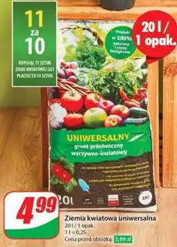 Dino Ziemia kwiatowa uniwersalna oferta